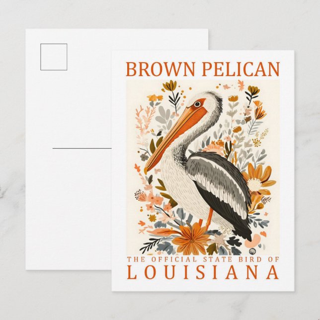 Brown Pelican Bird of Louisiana USA Travel Postkarte (Vorne/Hinten)