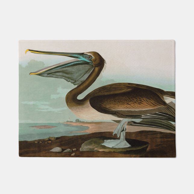 Brown Pelican Birds America Audubon Print Fußmatte (Vorderseite)
