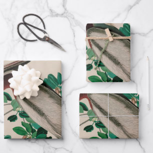 Brown Pelican Birds America Audubon Print Geschenkpapier Set