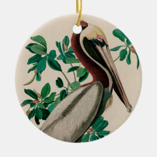 Brown Pelican Birds America Audubon Print Keramik Ornament