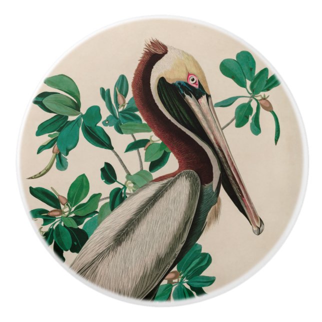 Brown Pelican Birds America Audubon Print Keramikknauf (Vorderseite)