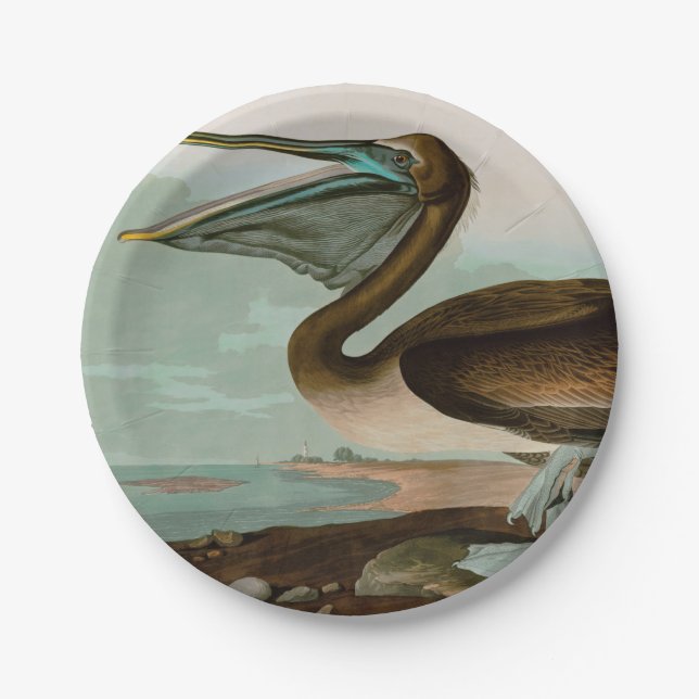 Brown Pelican Birds America Audubon Print Pappteller (Vorderseite)
