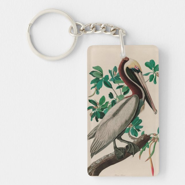 Brown Pelican Birds America Audubon Print Schlüsselanhänger (Vorderseite)