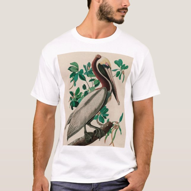Brown Pelican Birds America Audubon Print T-Shirt (Vorderseite)