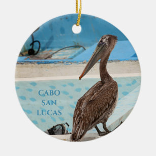 Brown Pelican   Cabo San Lucas Keramik Ornament