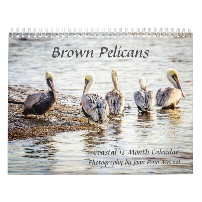 Brown Pelican Calendar Kalender (Titelbild)