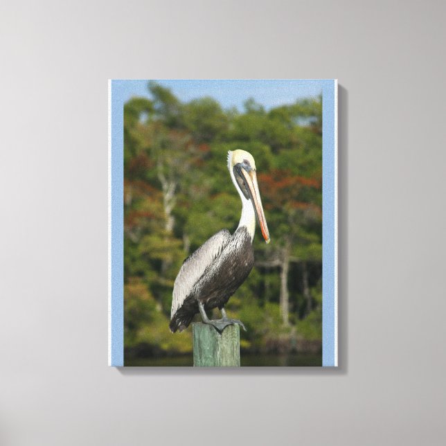 Brown Pelican Leinwanddruck (Vorderseite)