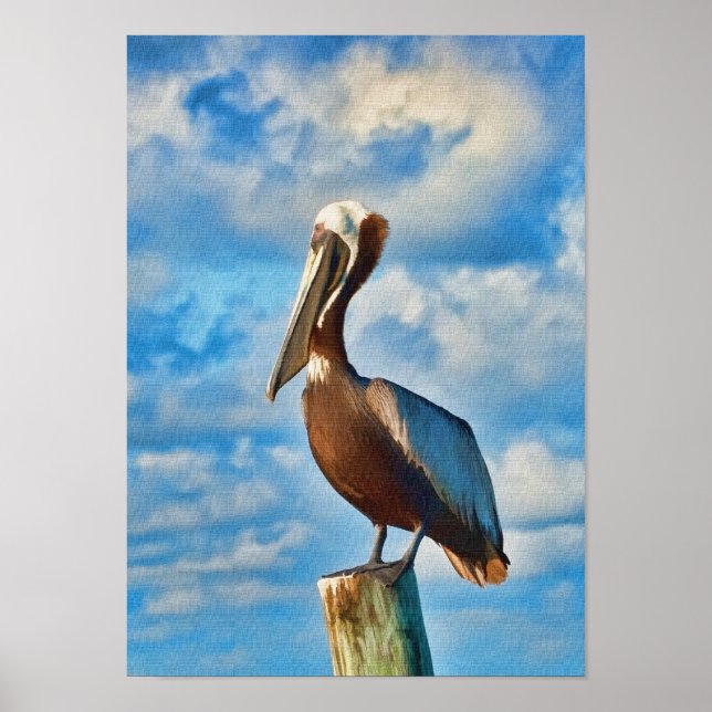 Brown Pelican on Post Poster oder Print (Vorne)