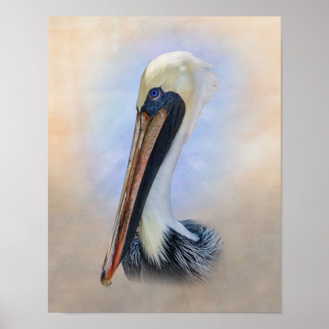 Brown Pelican Poster (Vorne)