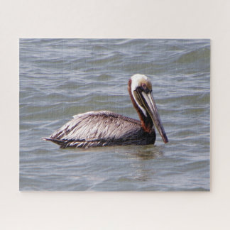 Brown Pelican Puzzle