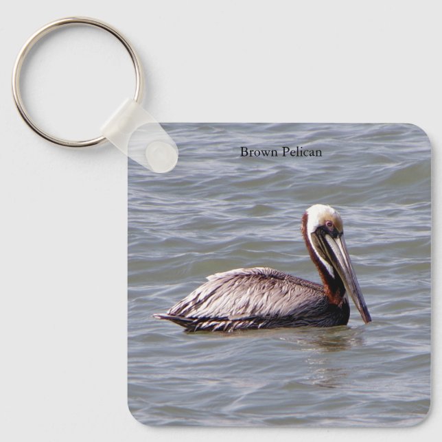 Brown Pelican Schlüsselkette Schlüsselanhänger (Vorderseite)