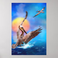 Brown Pelicans SUN KISSED ISLAND