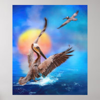 Brown Pelicans "SUN KISSED PELICANS"