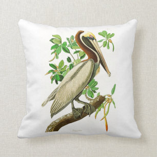 Brown-Pelikan-John James Audubon-Vögel von Amerika Kissen