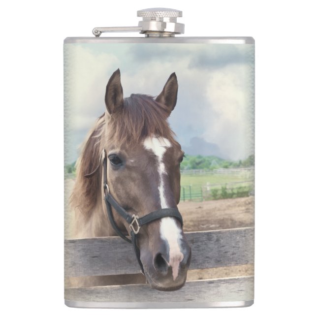 Brown-Pferd mit dem Halter Flachmann (Vorderseite)
