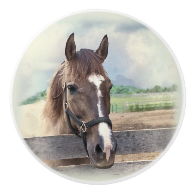 Brown-Pferd mit dem Halter Keramikknauf (Vorderseite)