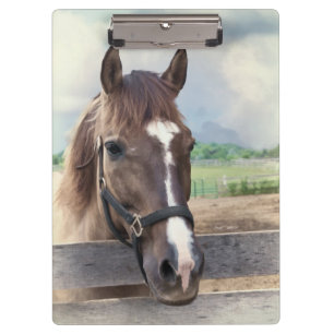 Brown-Pferd mit dem Halter Klemmbrett