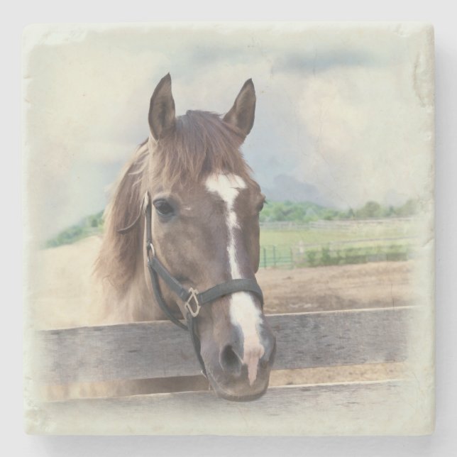 Brown-Pferd mit dem Halter Steinuntersetzer (Vorderseite)