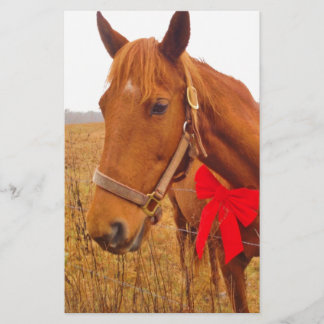 Brown Pferd Red Bow Briefpapier