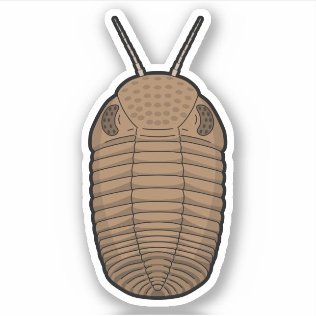 Brown Phacops Trilobit - prähistorisches TierVinyl Aufkleber (Vorderseite)