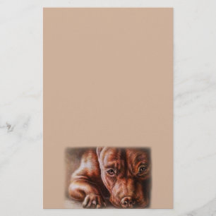 Brown pitbull Gesichtszeichnen des Briefpapier