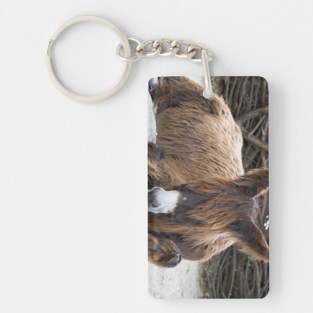 Brown Poitou Donkey (Devant)