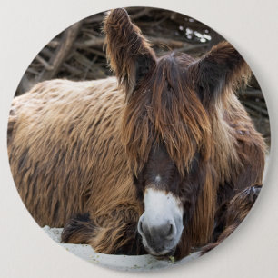 Brown Poitou Donkey Button
