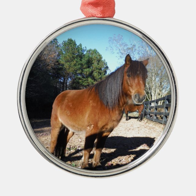 Brown pony turquoise Sky Ornament Aus Metall (Vorne)