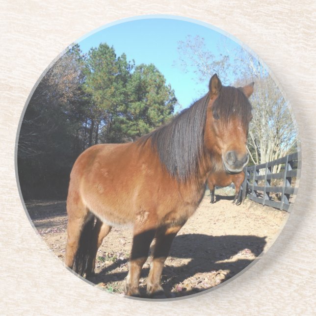 Brown pony turquoise Sky Untersetzer (Vorne)
