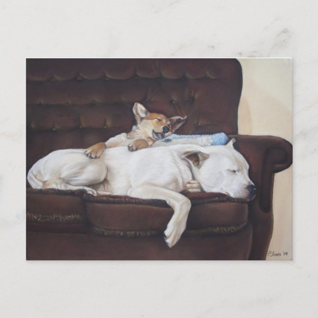 Brown Puppy White American Bulldog Postkarte (Vorderseite)
