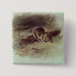 Brown-Ratte 1918 Button