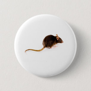 Brown-Ratte Button
