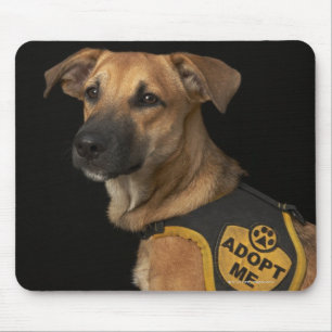 Brown-Rettungshund mit adoptieren mich Weste Mousepad