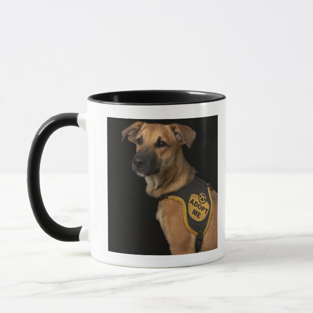 Brown-Rettungshund mit adoptieren mich Weste Tasse (Links)