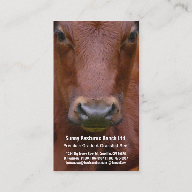 Brown-Rindfleisch-Ochse-Visitenkarte Visitenkarte (Vorderseite)