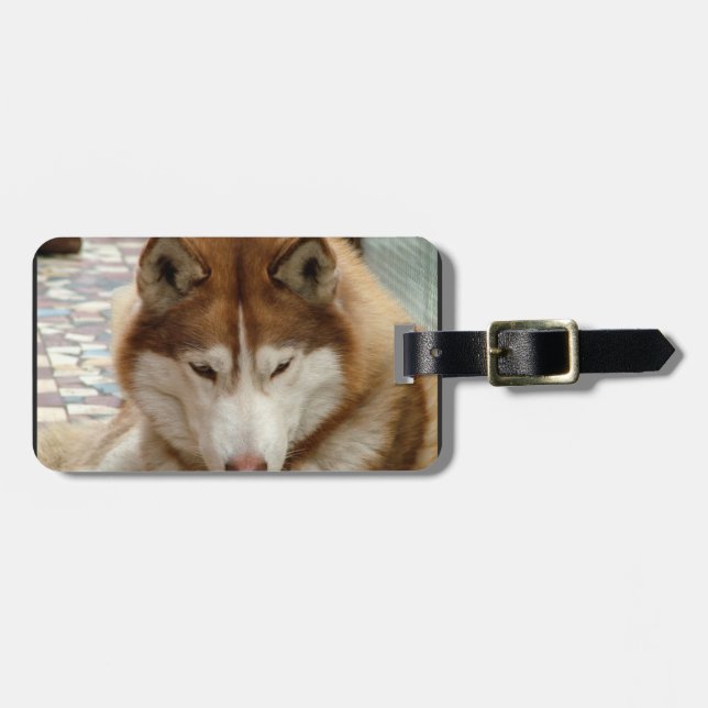 Brown-Schlittenhund-Gepäckanhänger Gepäckanhänger (Vorderseite horizontal)