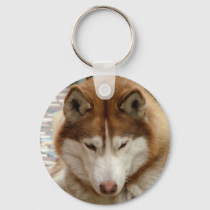Brown-Schlittenhund-Schlüsselanhänger Schlüsselanhänger