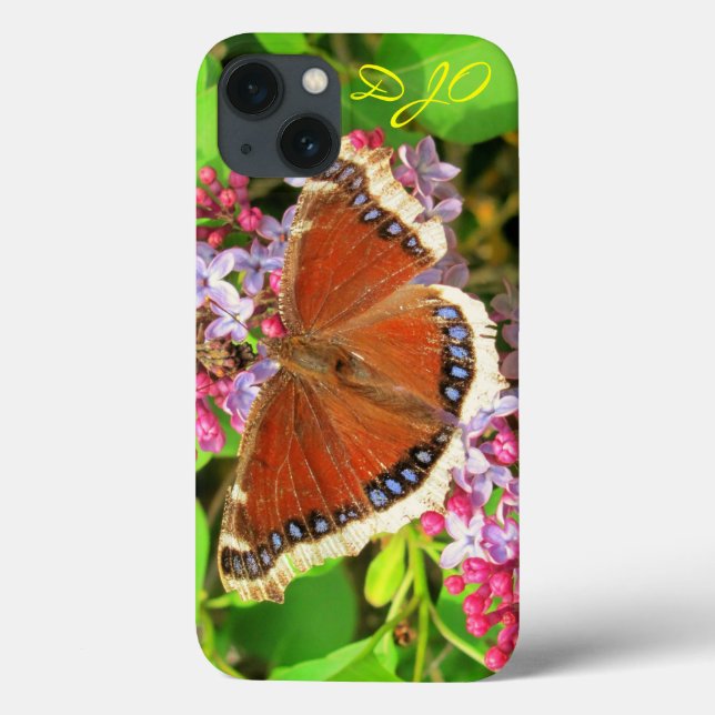 Brown-Schmetterling mit blauen Stellen auf Case-Mate iPhone Hülle (Rückseite)
