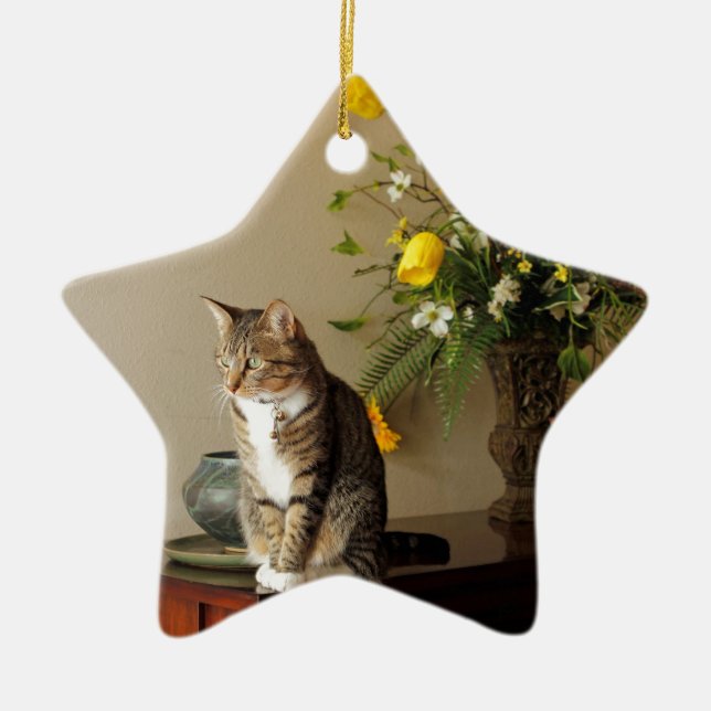 Brown schwarze Tabbykatze, die auf Klavier-Blumen Keramikornament (Vorne)