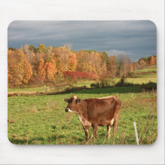 Brown-Schweizer-Mausunterlage Mousepad