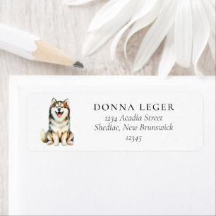 Brown Siberian Husky Dog Address