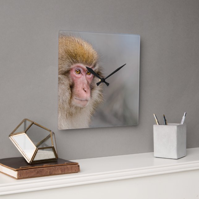 Brown Snow Monkey, japanische Fotografie Quadratische Wanduhr (Büro)