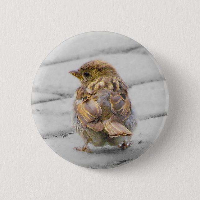Brown Sparrow Button (Vorderseite)