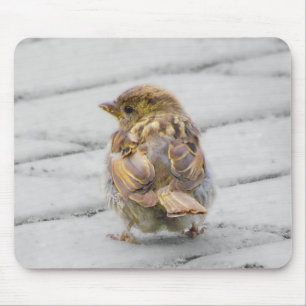 Brown Sparrow Mousepad