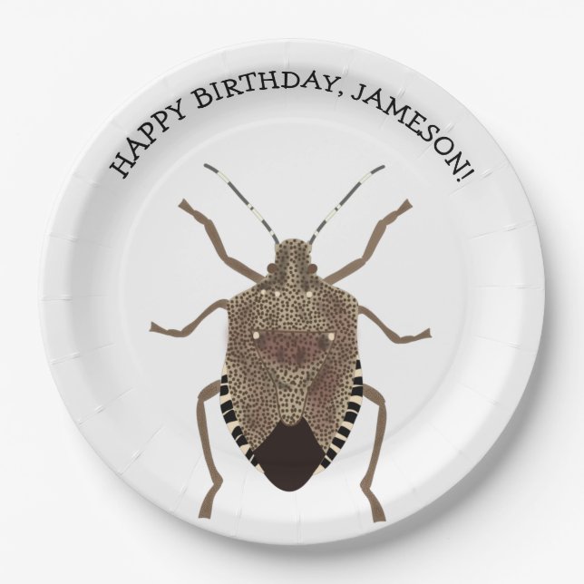 Brown Stink Bug Illustration Personalisiertes Part Pappteller (Vorderseite)