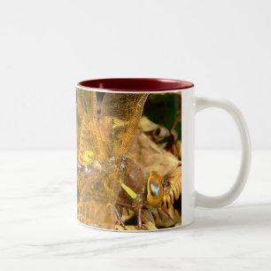Brown-Straßenverkäufer-Libelle (F) Zweifarbige Tasse