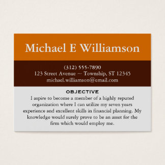 Brown Stripe Orange RESUME Visitenkarten