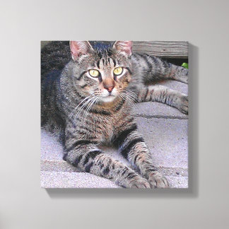 Brown Tabby Cat Außenbereich Leinwanddruck