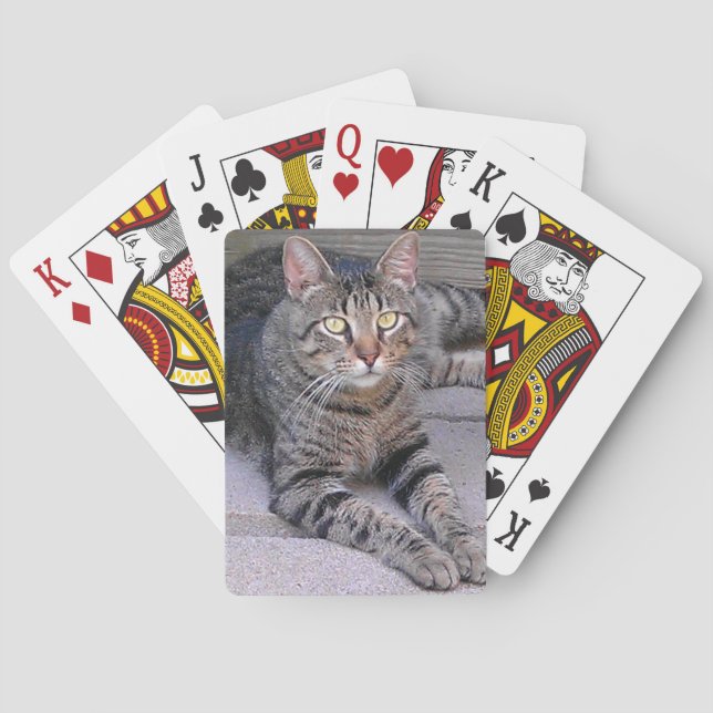 Brown Tabby Cat Außenbereich Spielkarten (Rückseite)