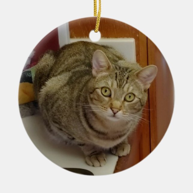 Brown Tabby Cat Weihnachtsschmuck (Vorne)